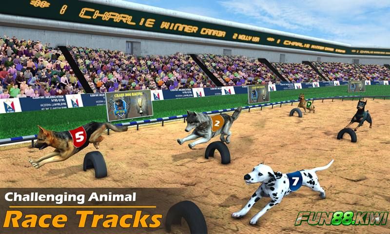 Chạy đua chó thể thao ảo Fun88 mang lại tốc độ và mức kịch tính hơn đua ngựa