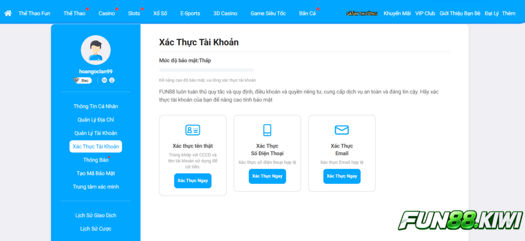 Người chơi sẽ điền thông tin xác minh theo hình thức xác minh mà bạn lựa chọn 